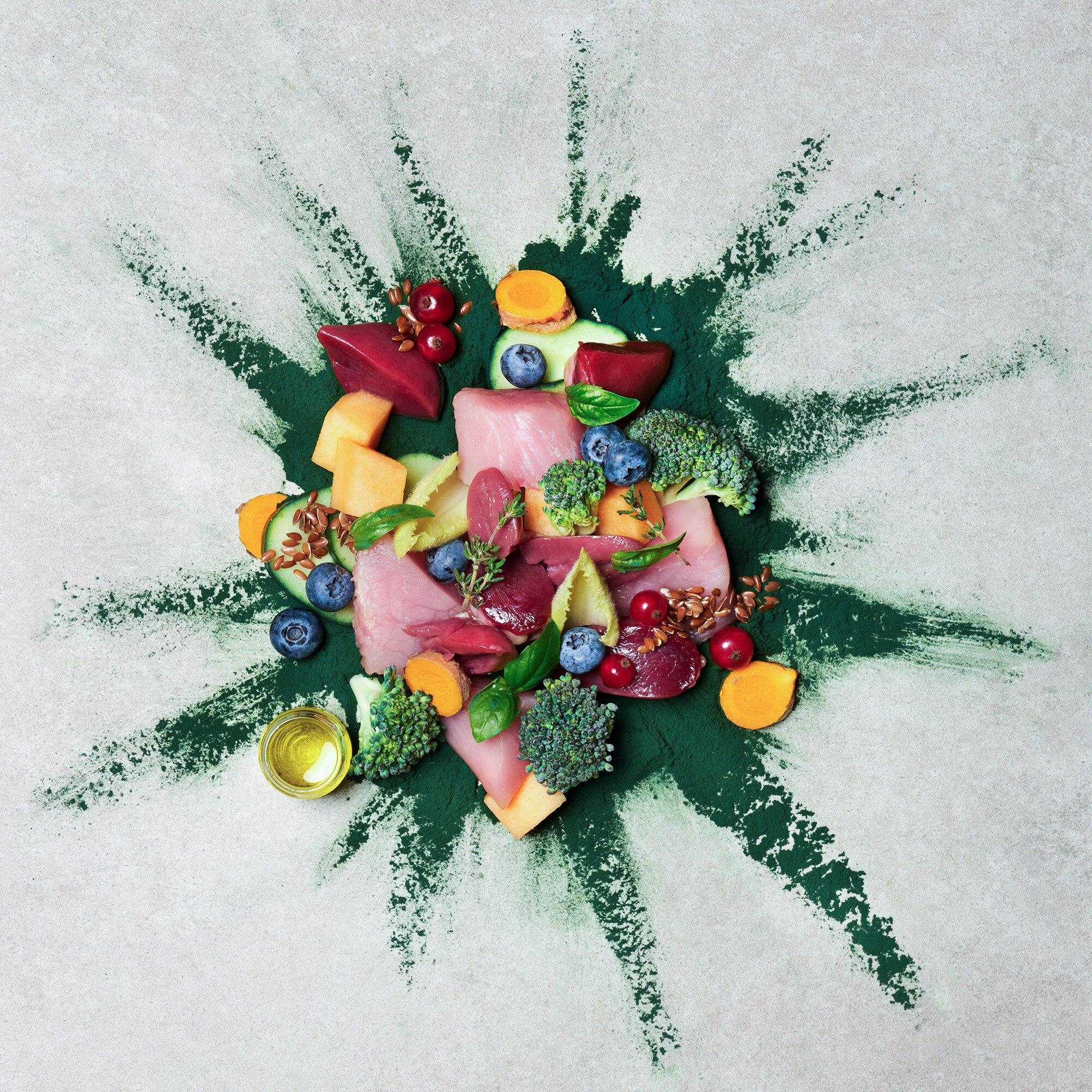 840015 TC Naturhund Insight Pute 2000x2000