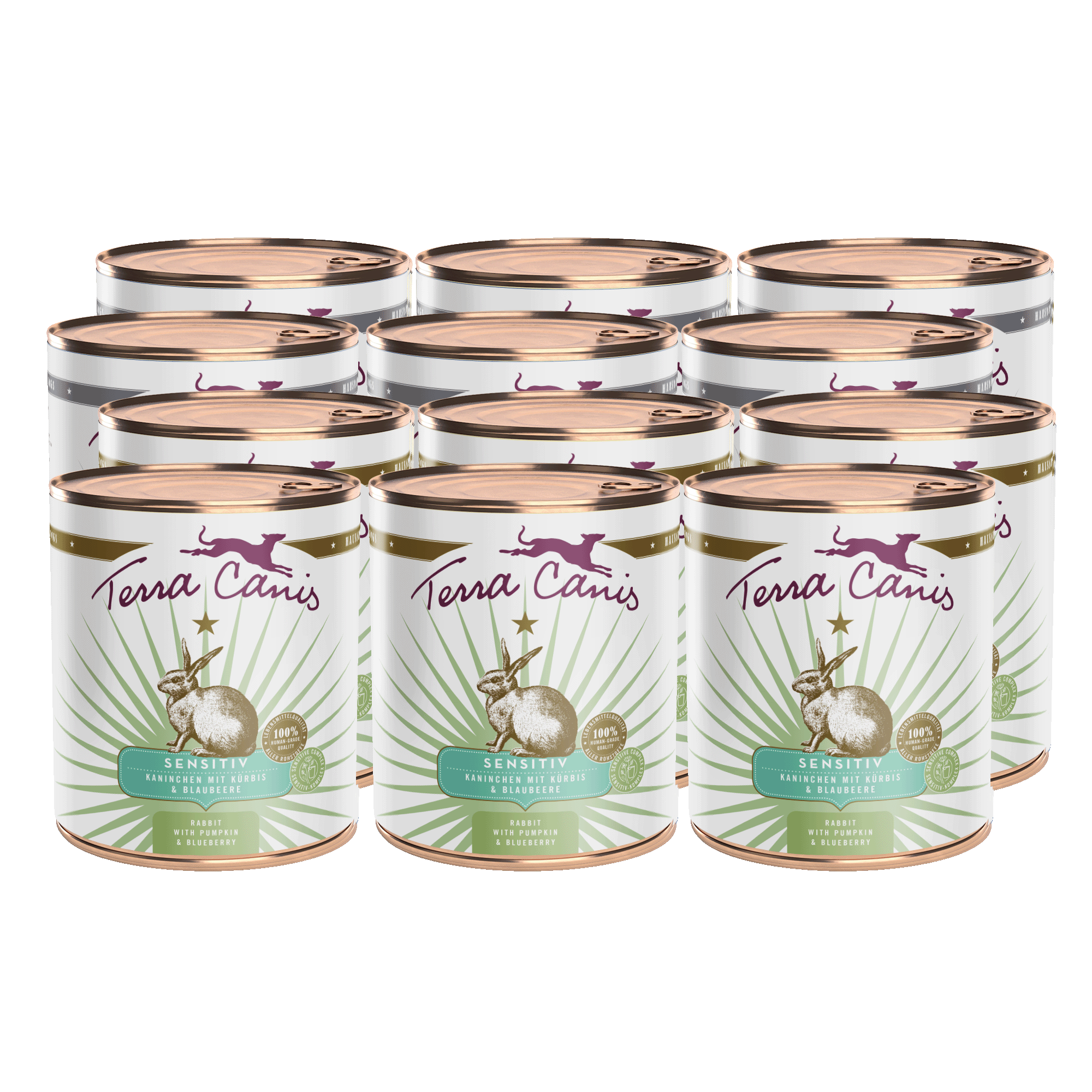 Kaninchen mit Kürbis und Blaubeere