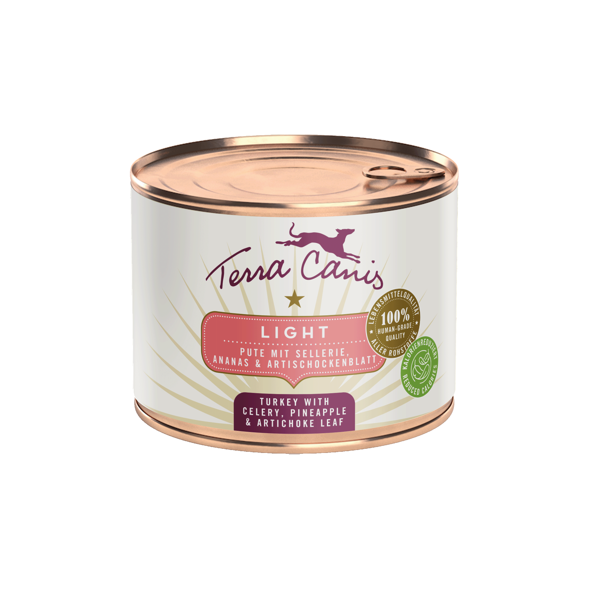 Pute mit Sellerie, Ananas und Sanddornbeere