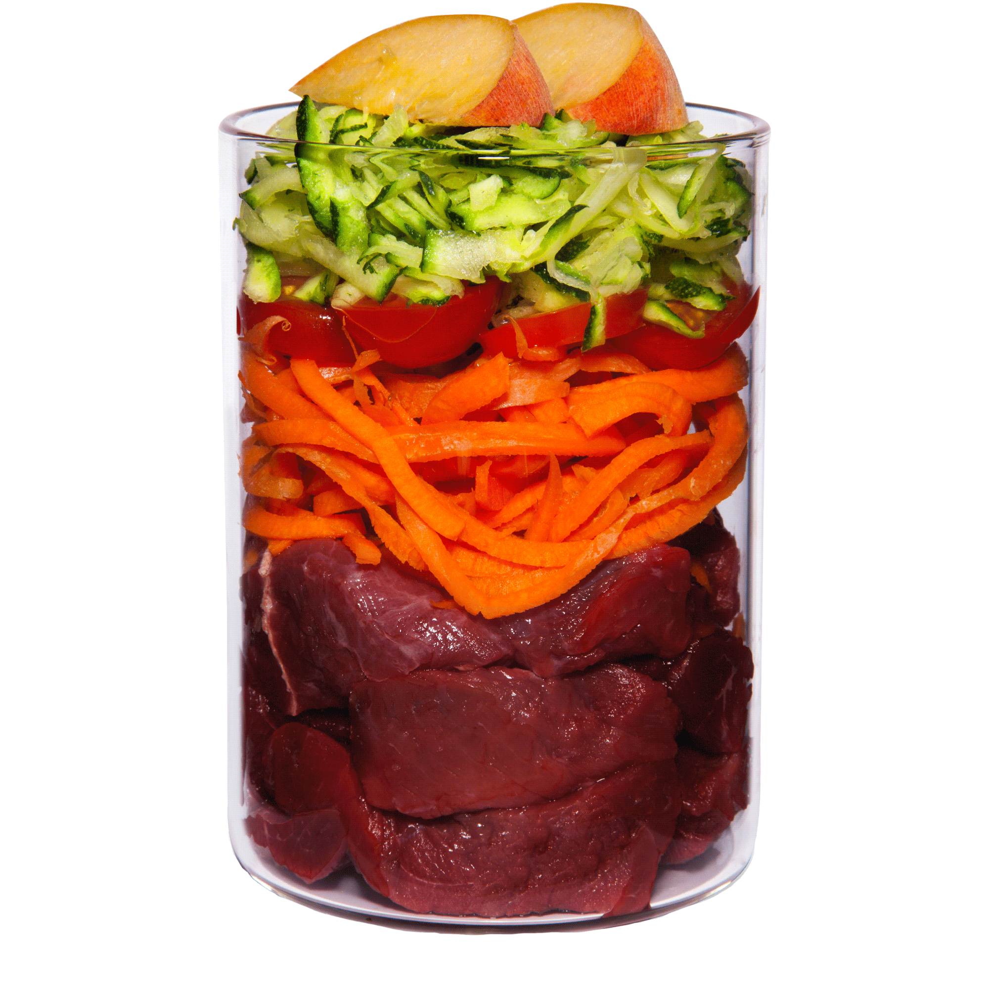 TC Light Insight Wild Web