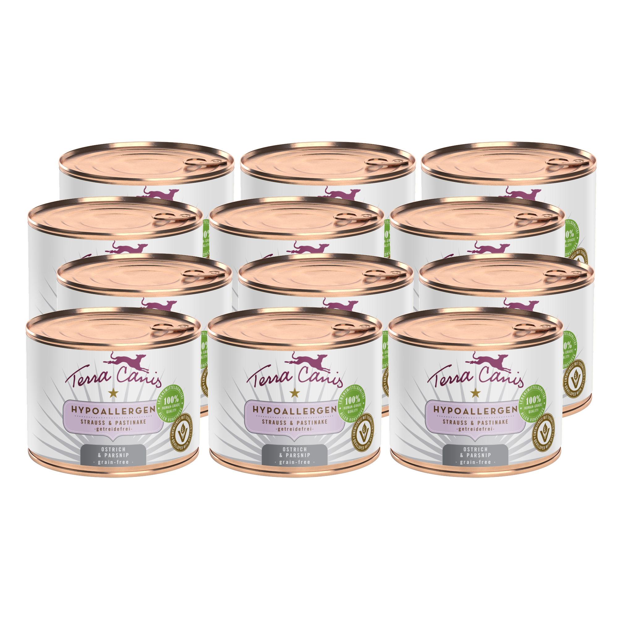 Strauß mit Pastinake