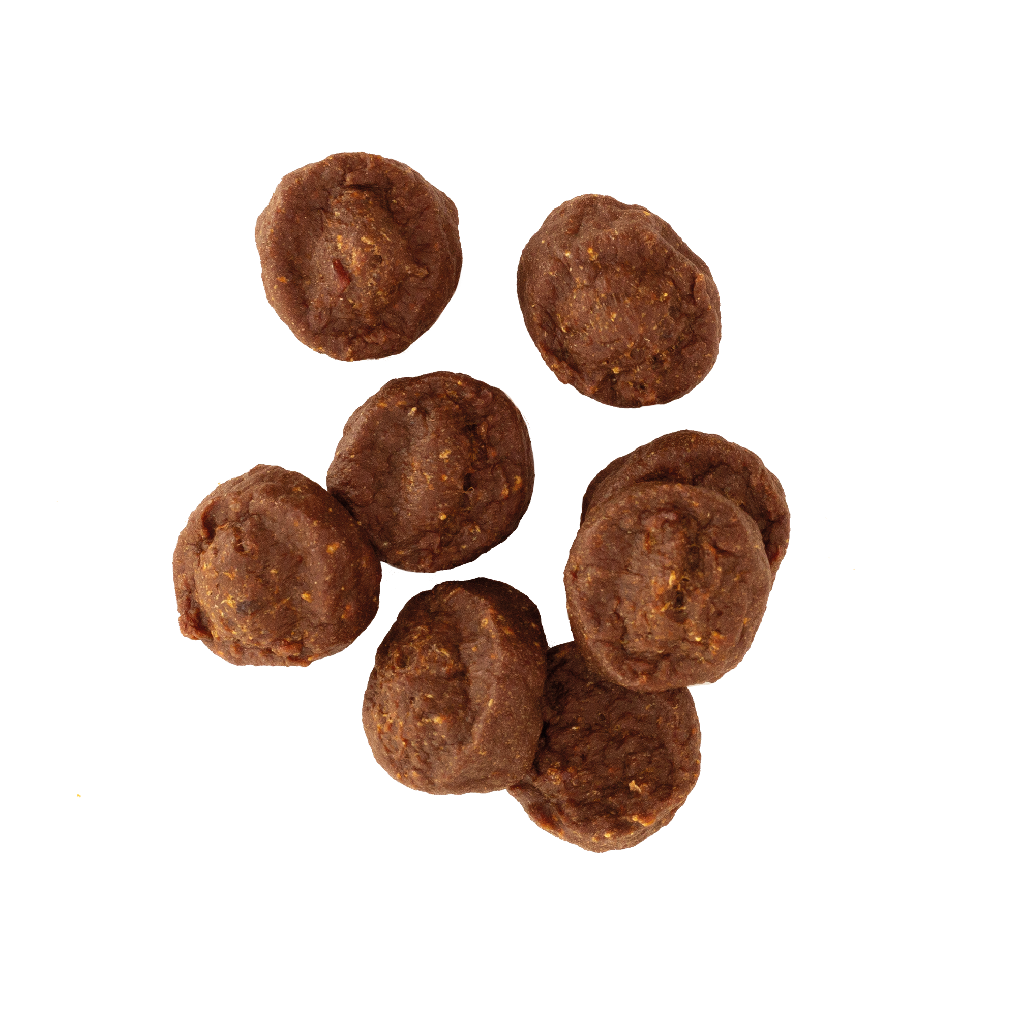 TrekkingTreats 2000x2000