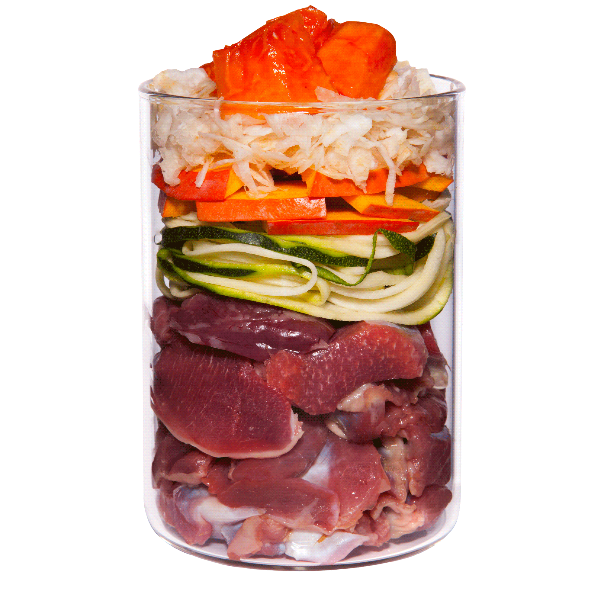 TC Light Insight Huhn Web