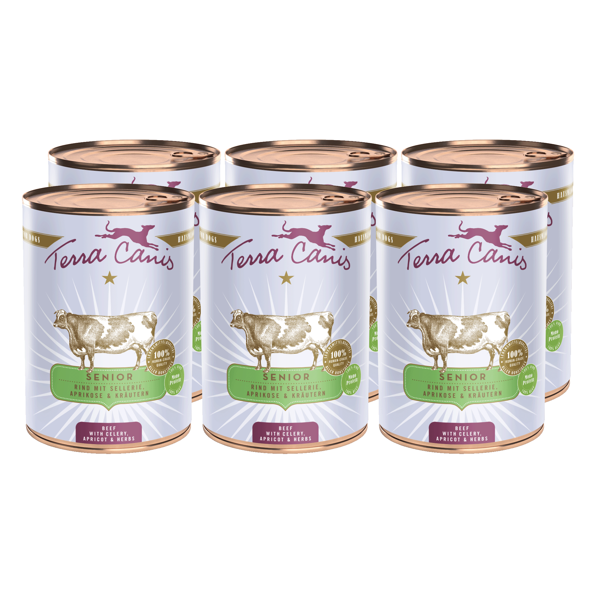 Rind mit Sellerie, Aprikose und Gesundheitskräutern