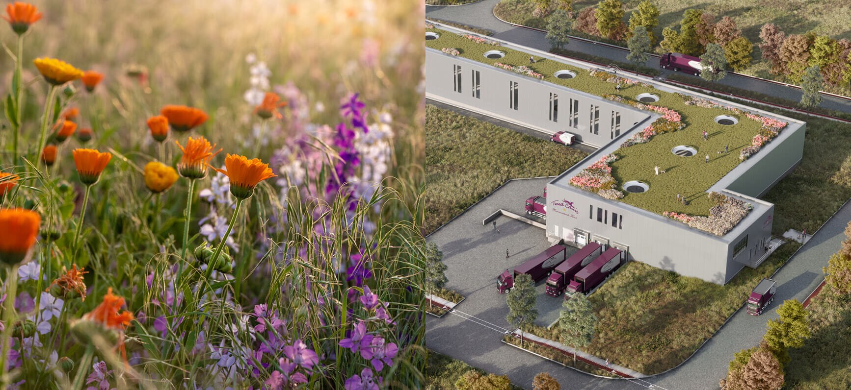 TC Content Produktion 17082020 1734x796