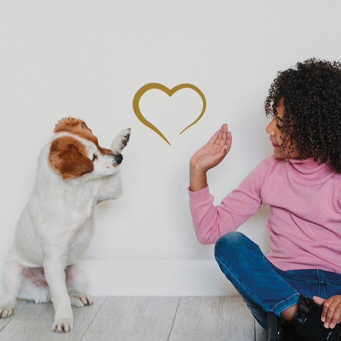 Gesellschaftliches Engagement