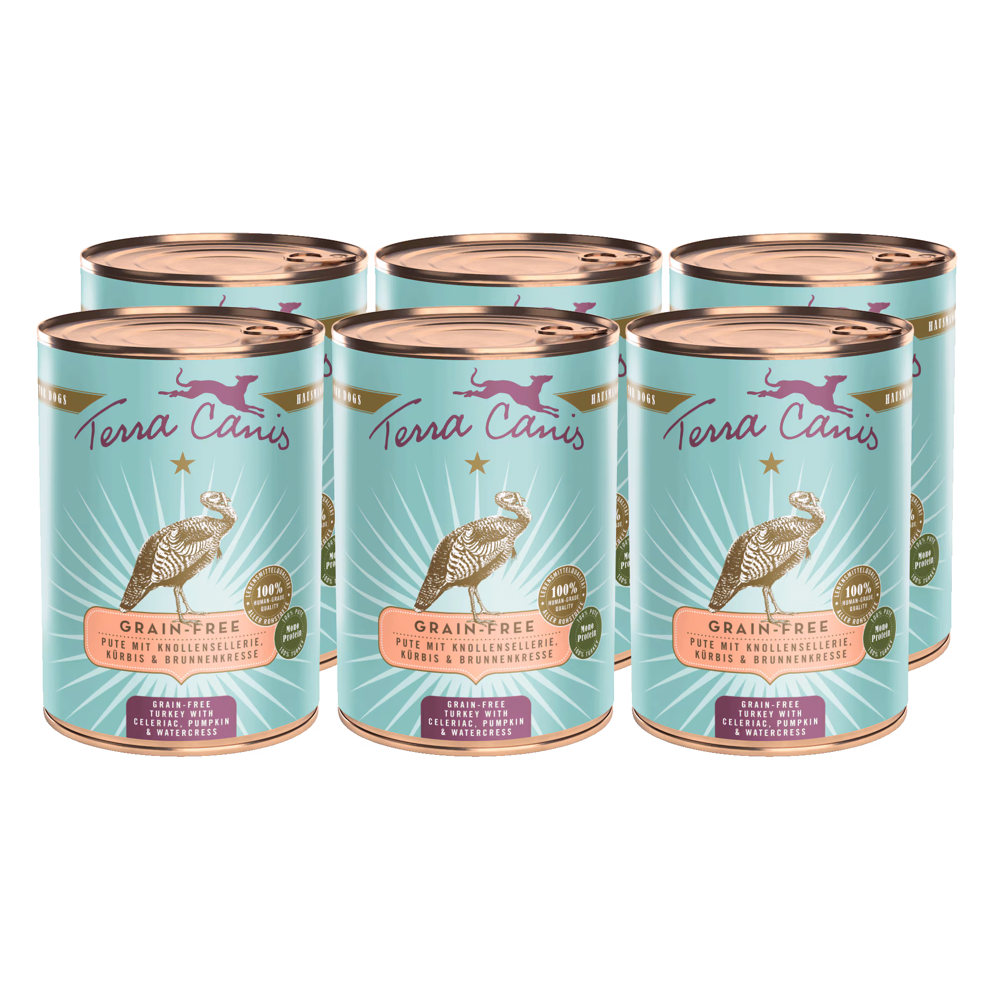 Pute mit Sellerie, Kürbis und Brunnenkresse