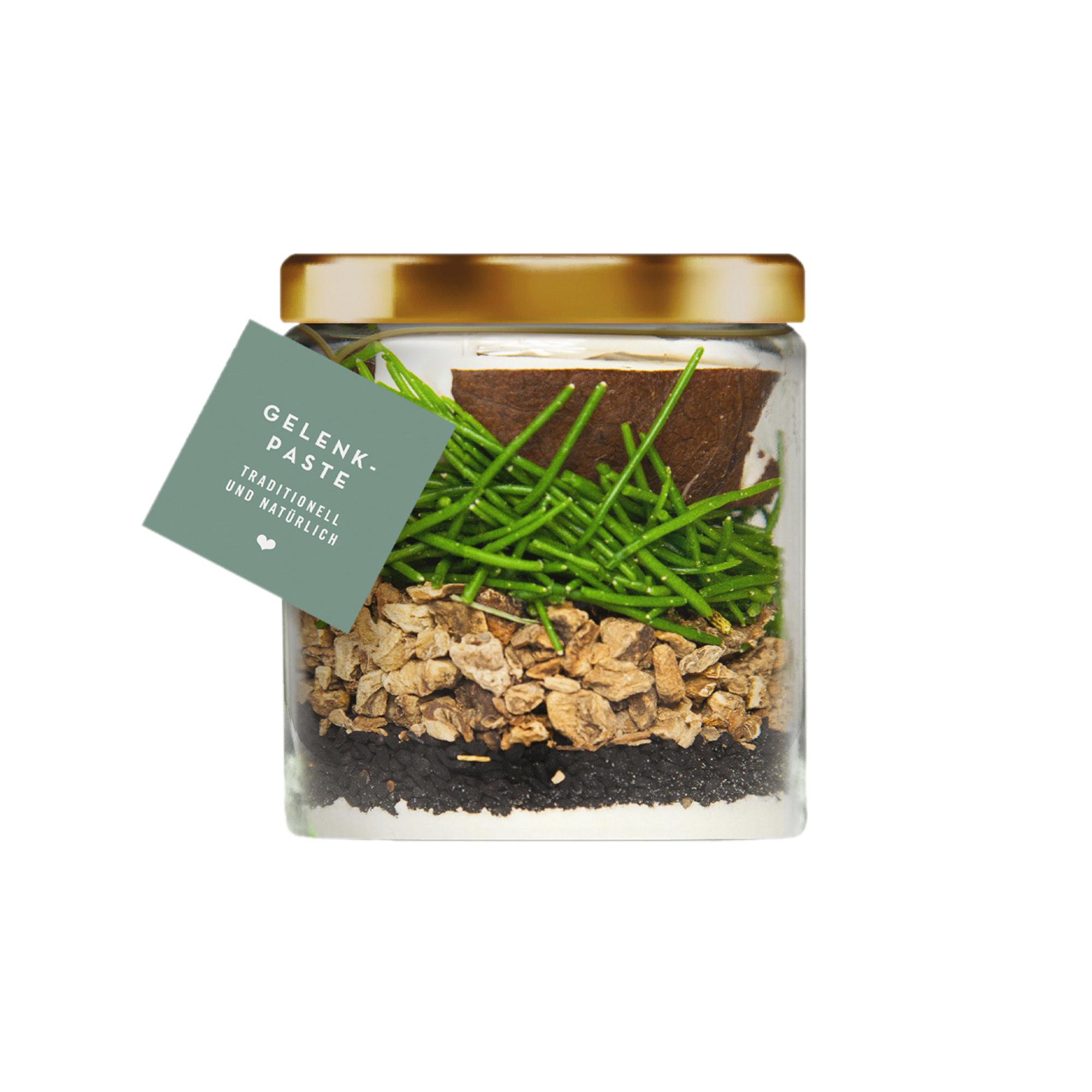 TC Pasten Gelenk Insight Web