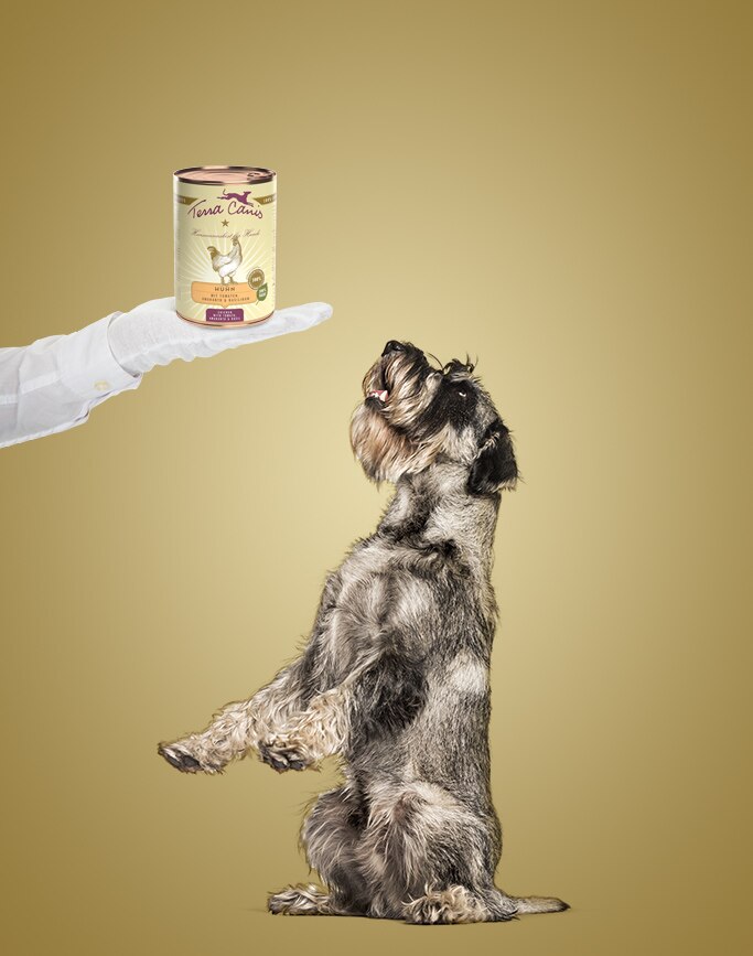 Fuetterungsempfehlung