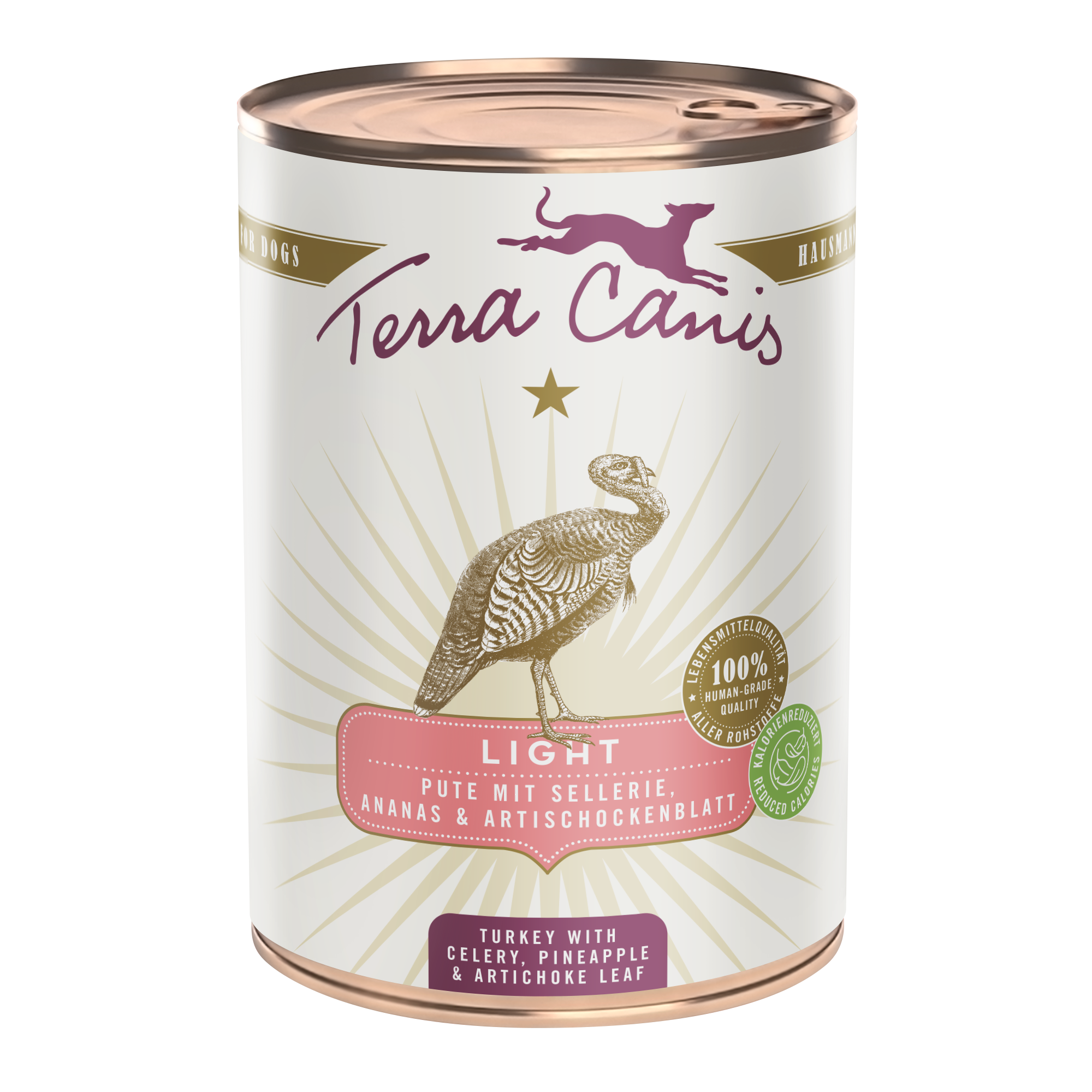 Pute mit Sellerie, Ananas und Sanddornbeere