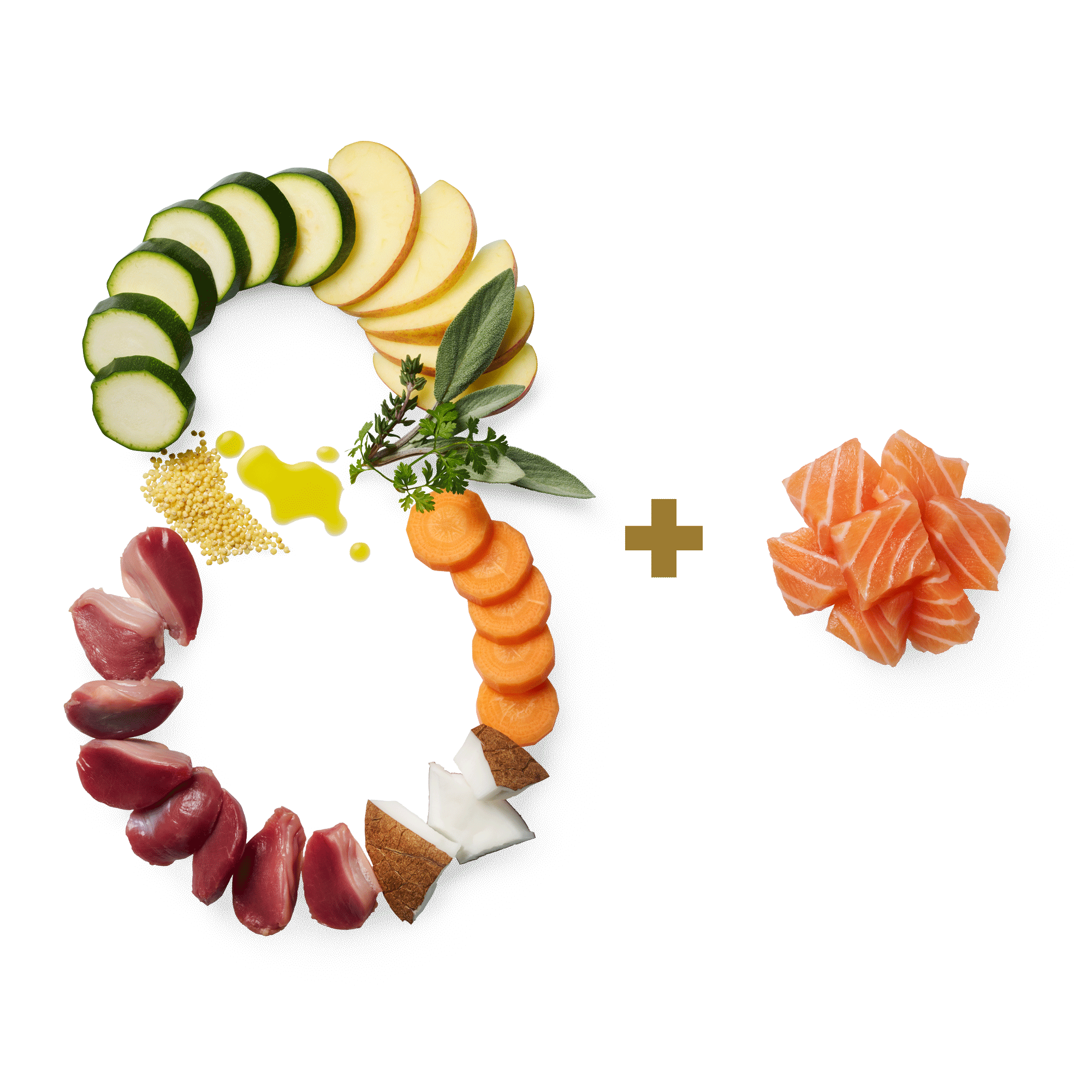 TC Insight Essential8 Lachs 2000x2000 1