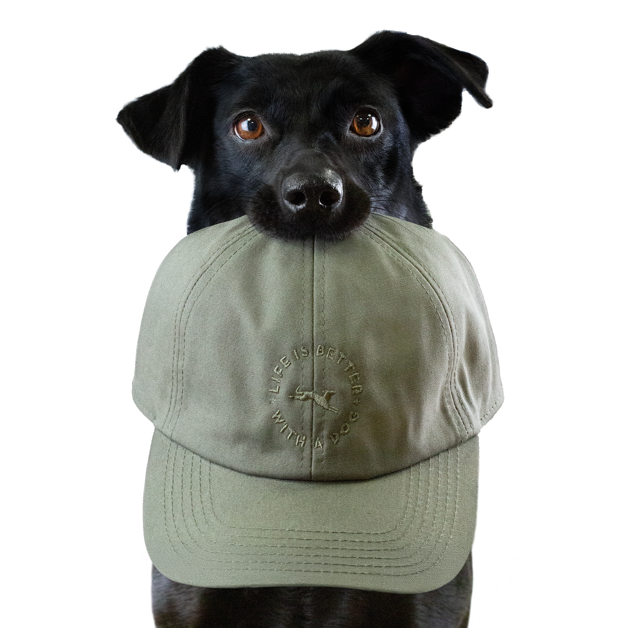 Terra Canis Cap Olive Green  "Life is better with a dog"