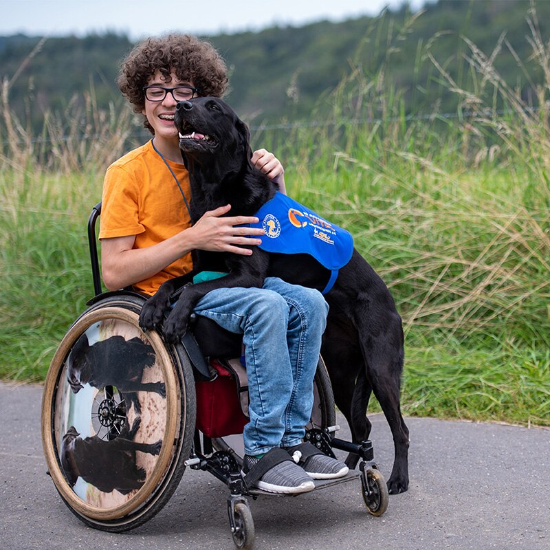 VITA Team Kooperation Mit TerraCanis