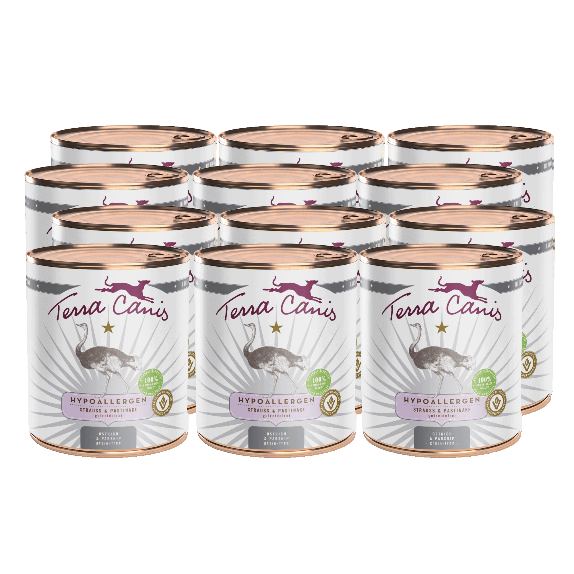 Strauß mit Pastinake