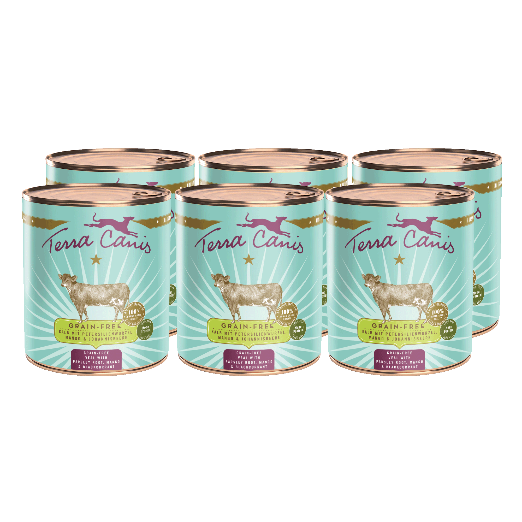 Kalb mit Petersilienwurzel, Mango und Johannisbeere