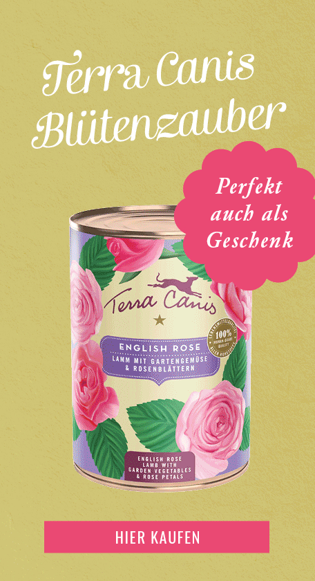Hundefutter Flower Menues