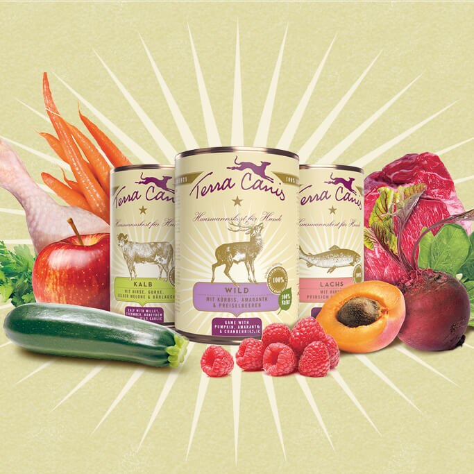 TC WEbshop UeberUns NEU LMQ Desktop