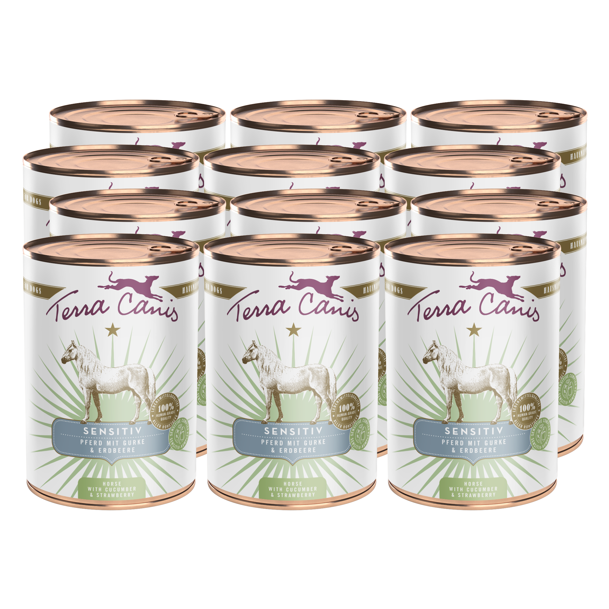 Pferd mit Gurke und Erdbeere