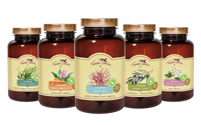 Hundefutter Naehrstoffkapseln