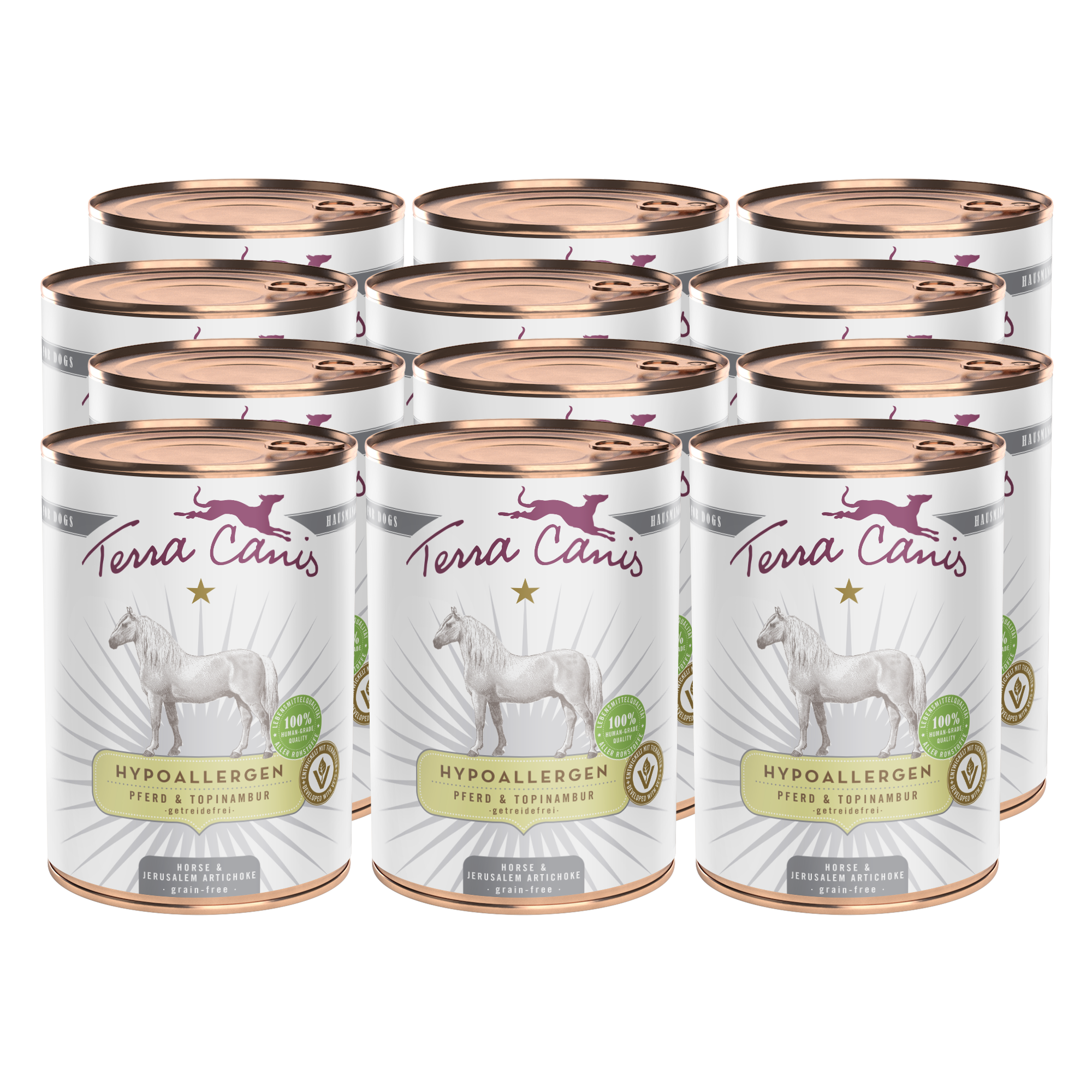 Pferd mit Topinambur