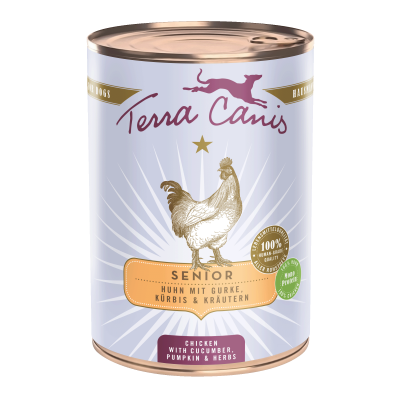 Huhn mit Gurke, Kürbis und Gesundheitskräutern