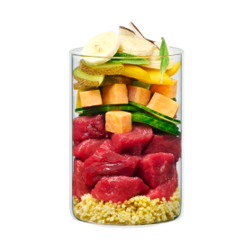 Hakuna Pawtata - Antilope mit Banane, Süßkartoffel und Mango