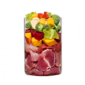 Superdog – Huhn mit roter Bete, Mango und Superfoods