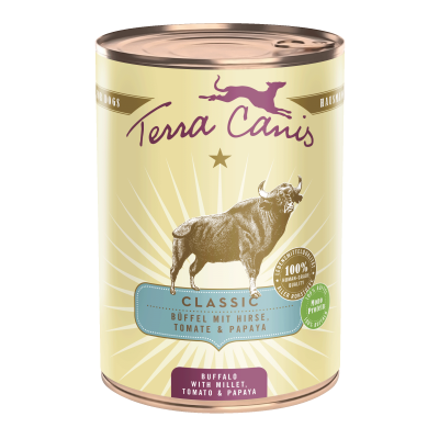 Büffel mit Hirse, Tomate und Papaya 