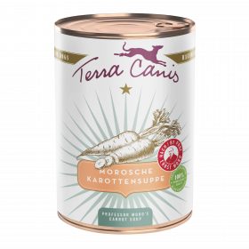 Morosche Karottensuppe 