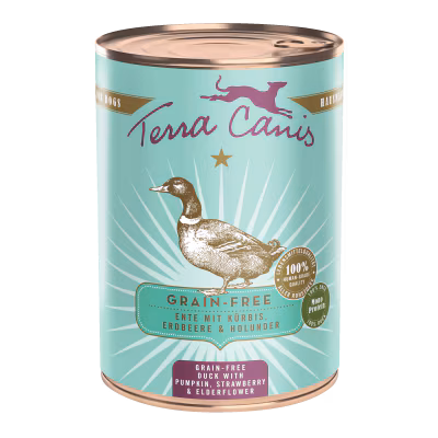 Ente mit Kürbis, Erdbeere und Holunder 