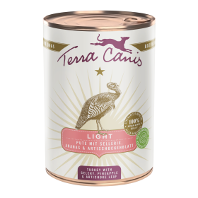 Pute mit Sellerie, Ananas und Sanddornbeere